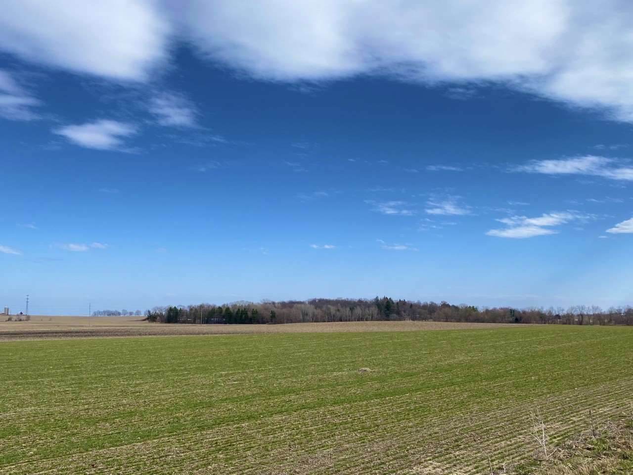 Lot 4 Castleton Crossing - Photo 1