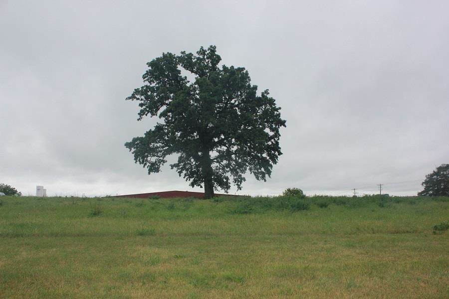 https://bt-photos.global.ssl.fastly.net/madison/orig_boomver_1_1959742-2.jpg