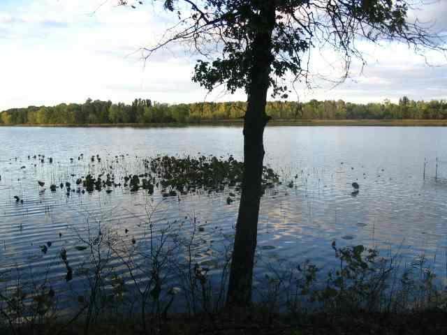 https://bt-photos.global.ssl.fastly.net/madison/orig_boomver_1_1996124-2.jpg