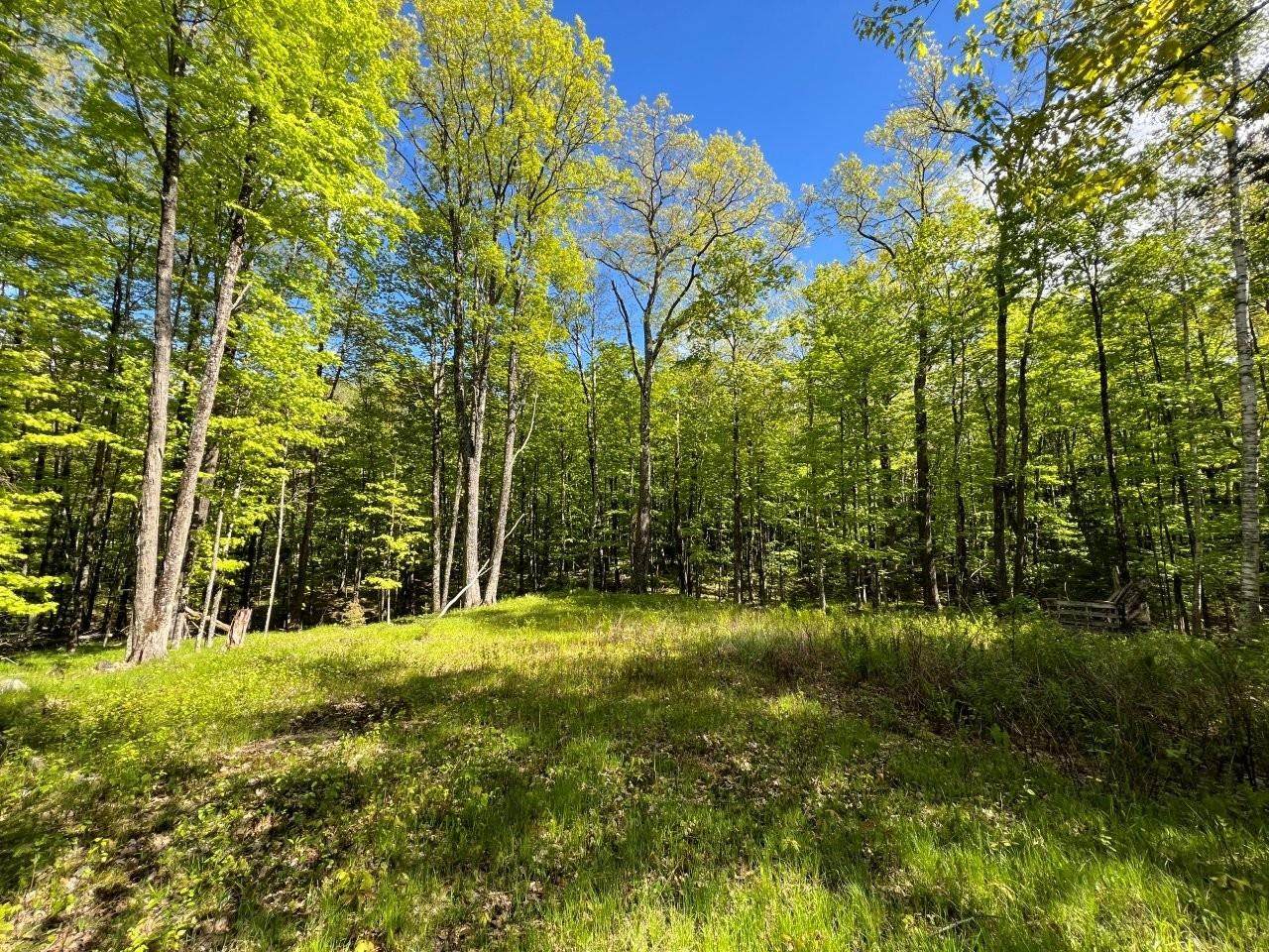 19.95 Acres Old Elcho Road - Photo 1