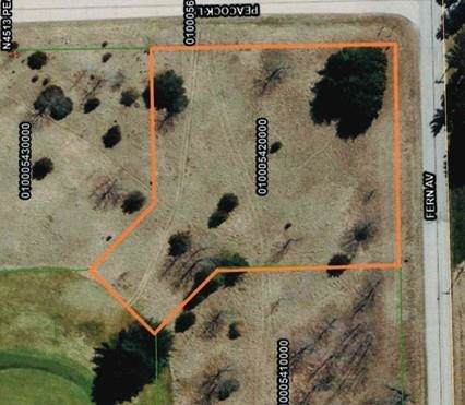 Lot 35 Peacock Lane - Photo 1
