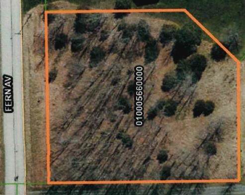 Lot 59 Fern Avenue - Photo 1