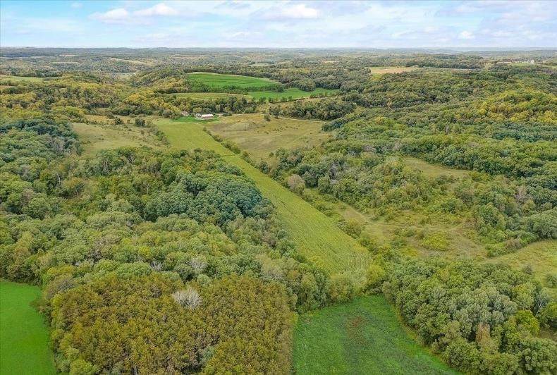 19.37 Acres Greenwald Road - Photo 1