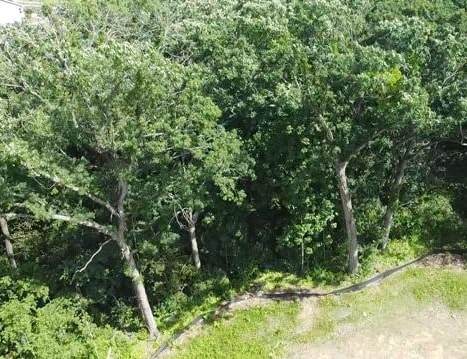 1273 Retreat Circle - Photo 1