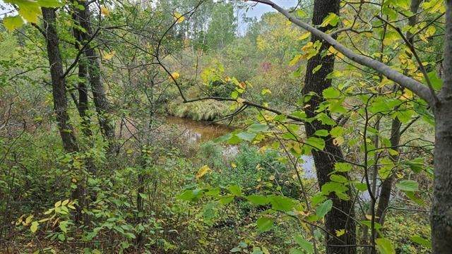 40 Acres Copper Mine Road - Photo 1