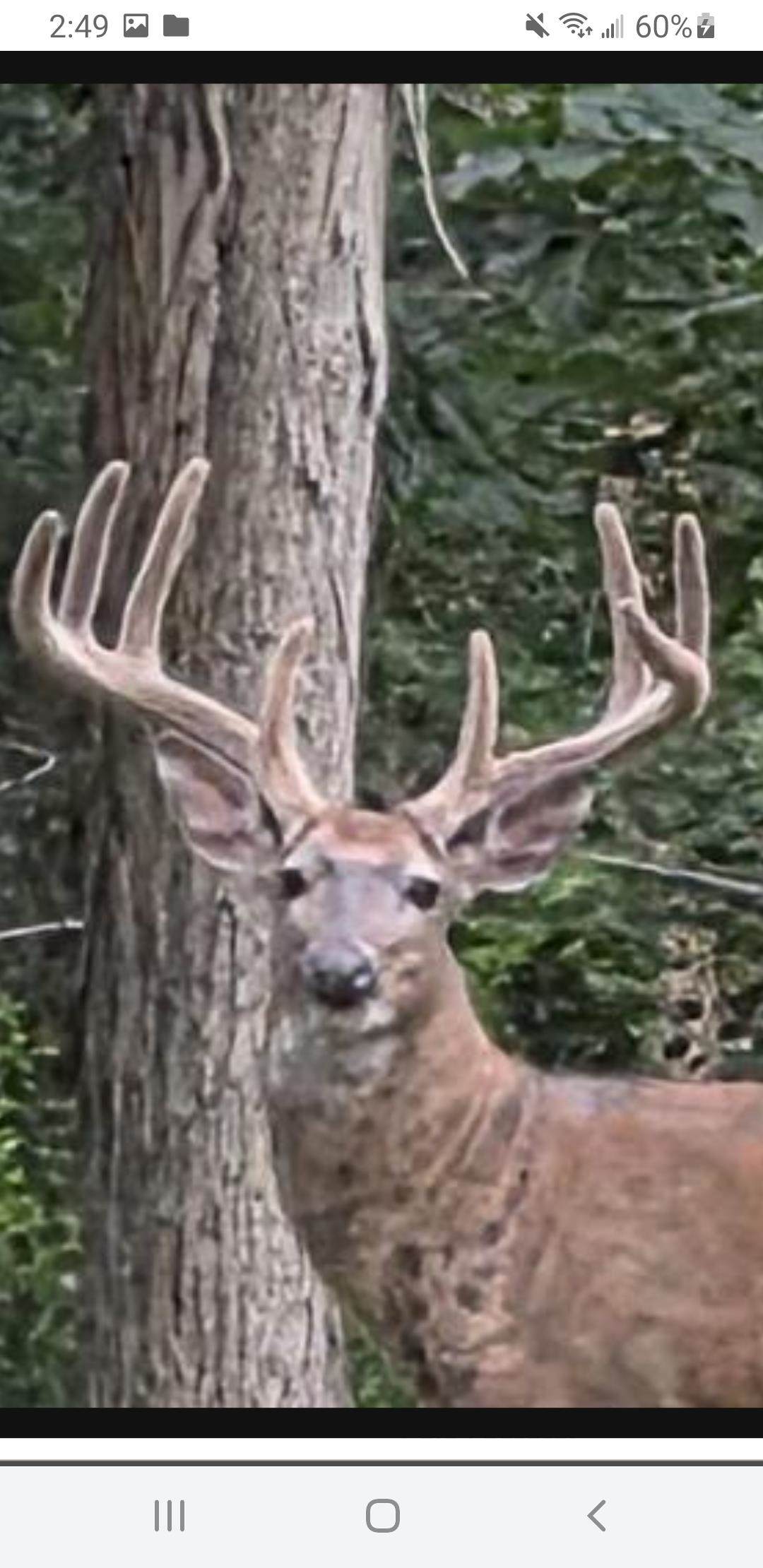 N8720 County Cx Road - Photo 1