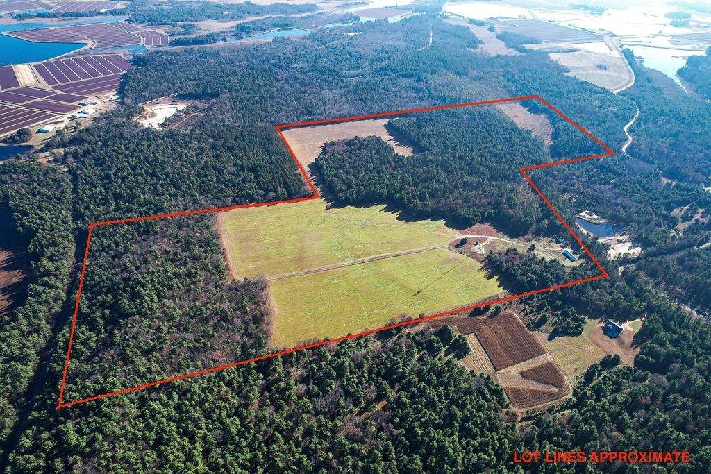 1504 Atom Road - Photo 1