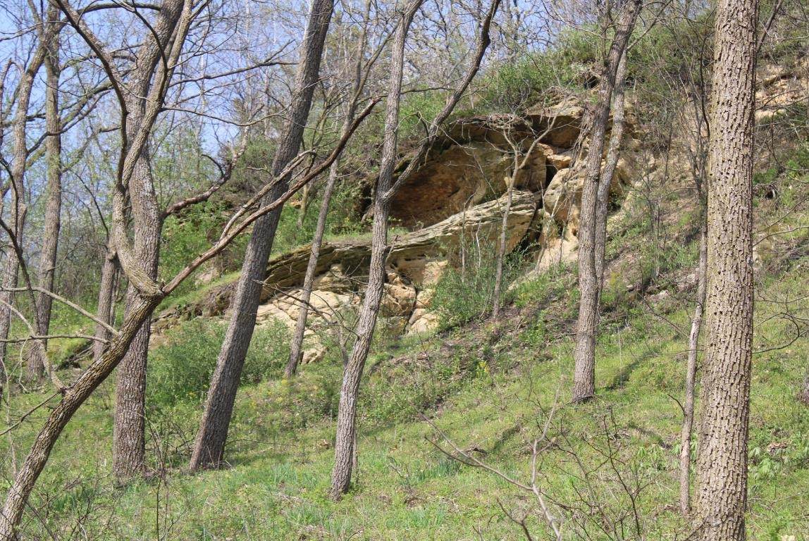 138 Peerless Road - Photo 1