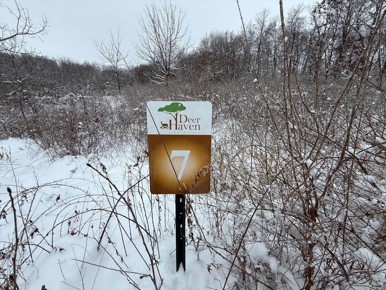 L7 Fawn Meadow Lane - Photo 1