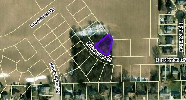 Lot 43 Kriedeman Drive - Photo 1