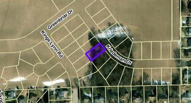 Lot 28 Kriedeman Drive - Photo 1