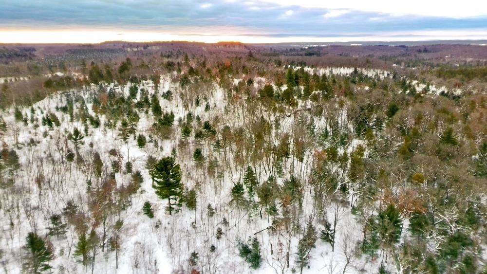 000 County Rd A Road - Photo 1