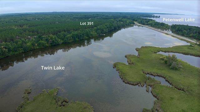391 Twin Lakes Trail - Photo 1