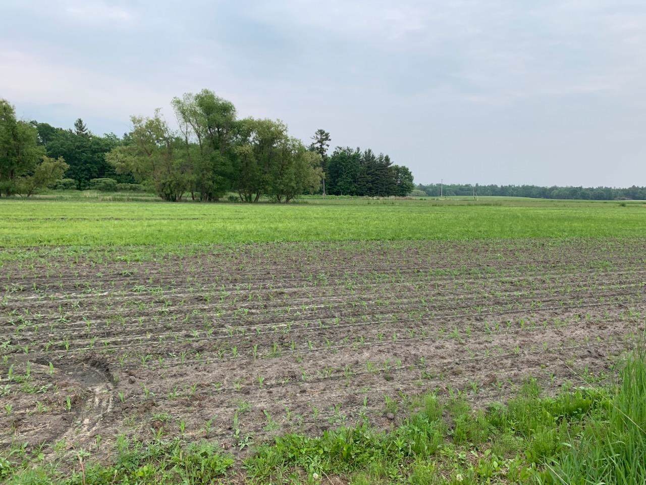 40 acres 5th Avenue - Photo 1