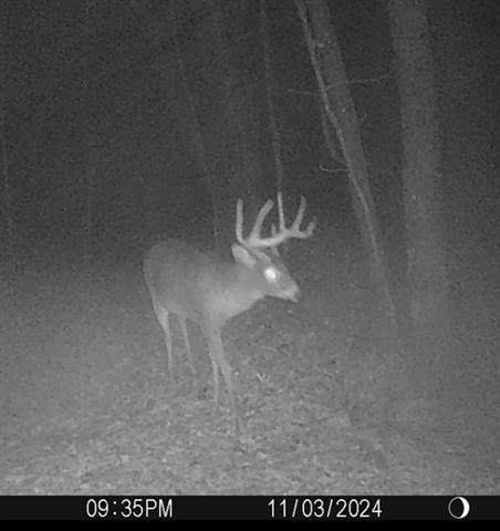 W7113 Leigh Road - Photo 1