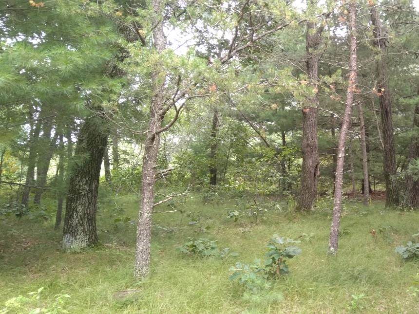 462 Duffers Trail - Photo 1