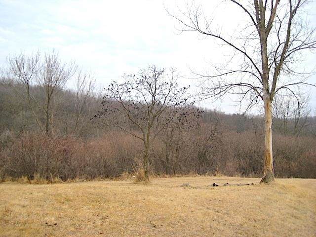 Lot 16 Ohmer Ridge Subdivision - Photo 1