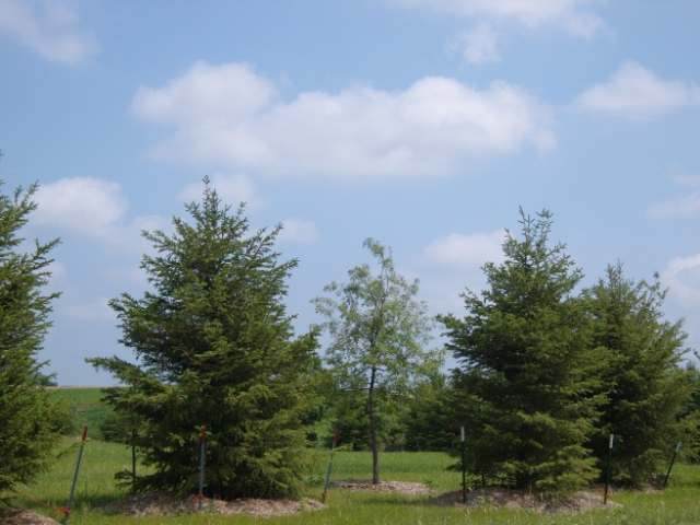 https://bt-photos.global.ssl.fastly.net/madison/orig_boomver_1_2018402-2.jpg
