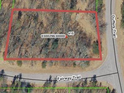 415 Duffers Trail - Photo 1