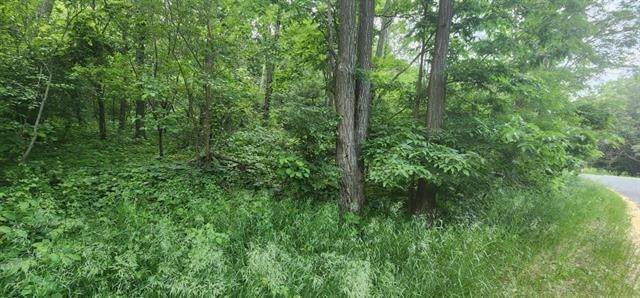 L7 Oakleaf Ln - Photo 1