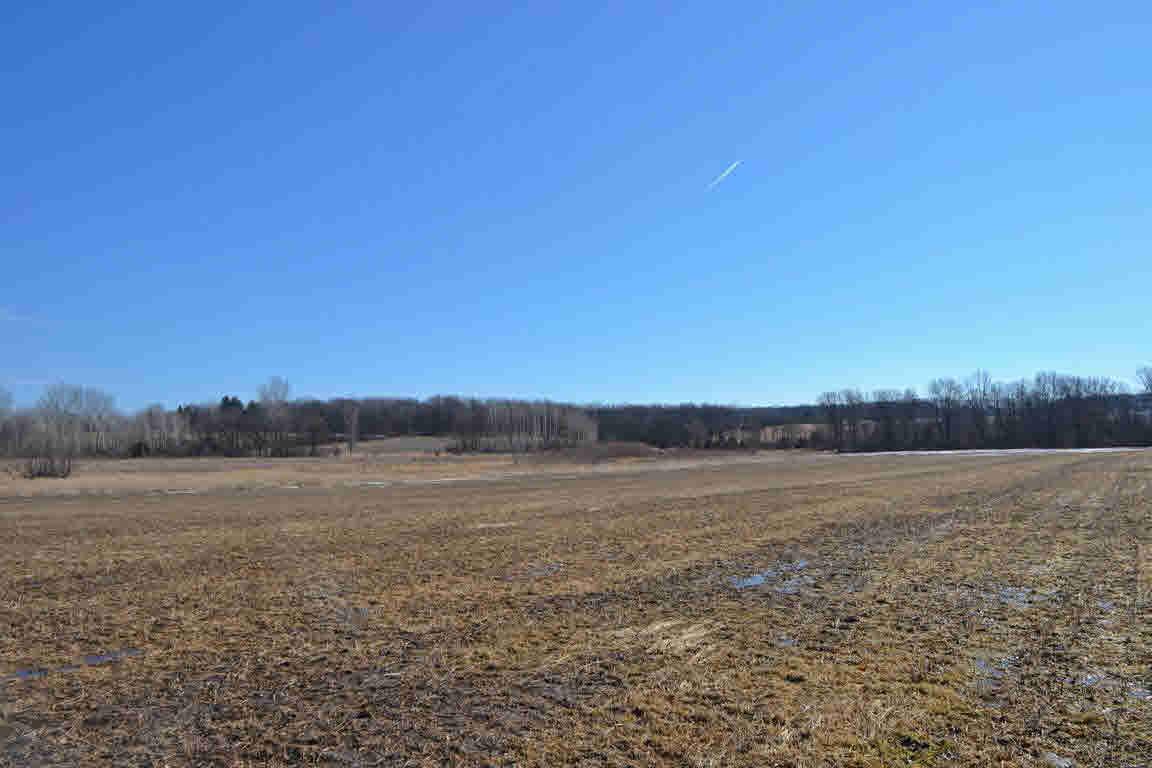 Forest Ridge Rd - Photo 1