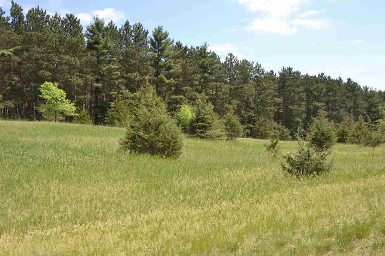 Lt84 Golf Ridge Rd - Photo 1