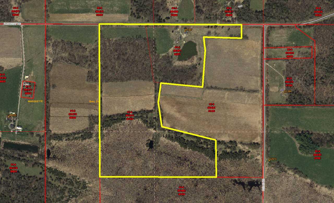 W5847 Puckaway Rd - Photo 1