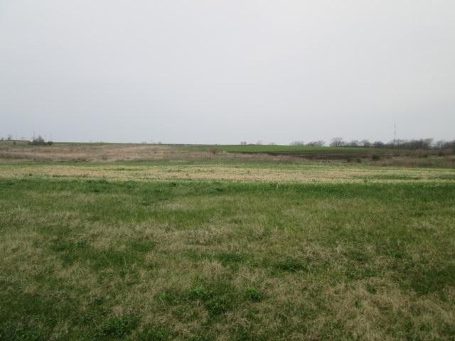 3.3 Ac Eastside Rd - Photo 1