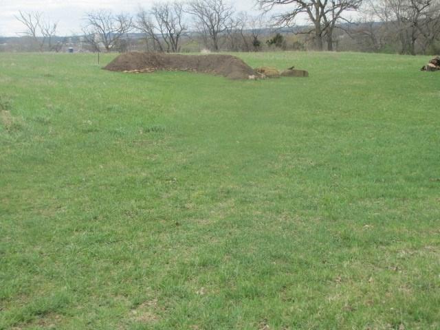 10 Ac Eisenhower St - Photo 1