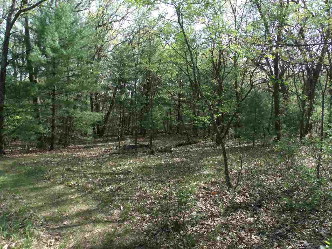 3.5 Ac County Road C - Photo 1