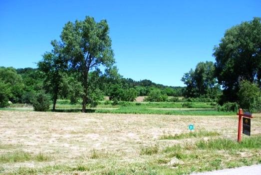 L11 Blue Heron Ponds - Photo 1