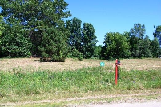 L19 Blue Heron Ponds - Photo 1