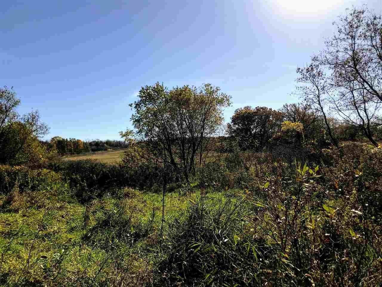 7 +/- Ac Purcell Rd - Photo 1