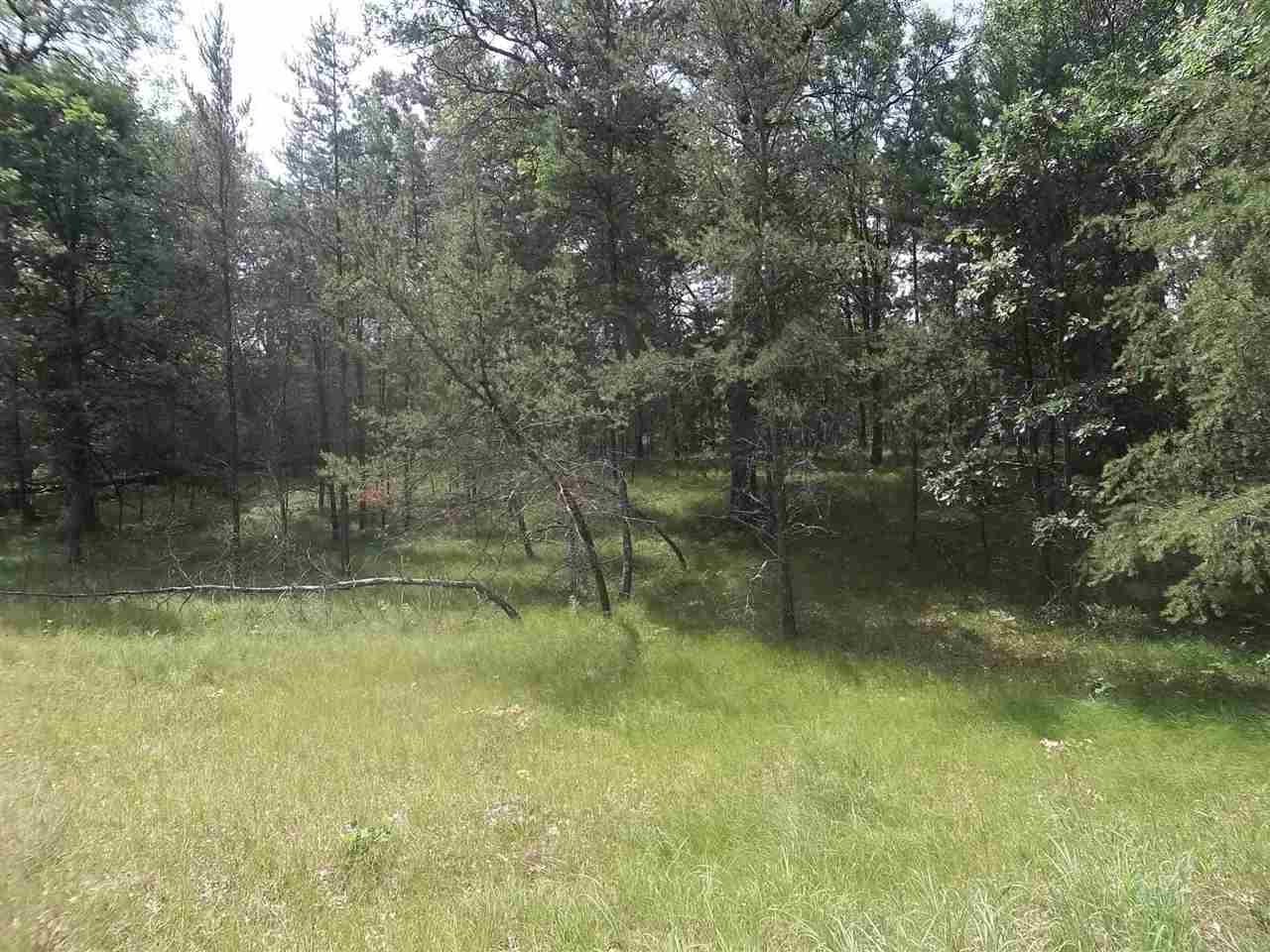1645 Wood Rd - Photo 1
