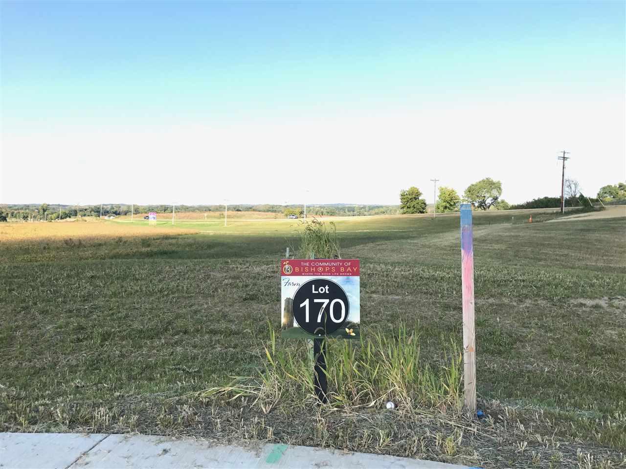 5824 Golden Guernsey Ct - Photo 1