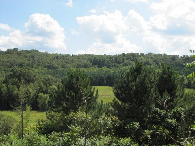 47 Ac Kerry Ave - Photo 1
