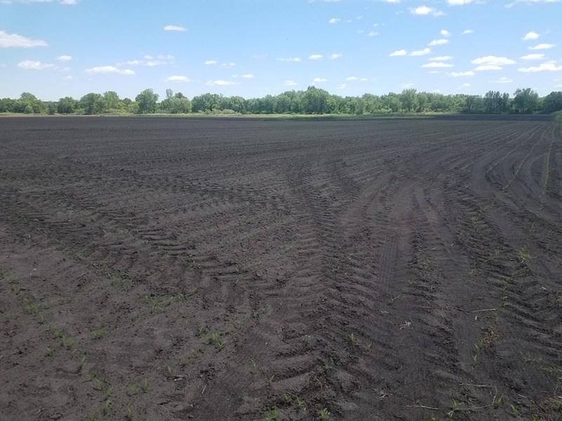 100 Ac County Road Pf - Photo 1