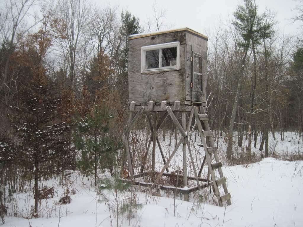 11.9 Ac 19th Ave - Photo 1