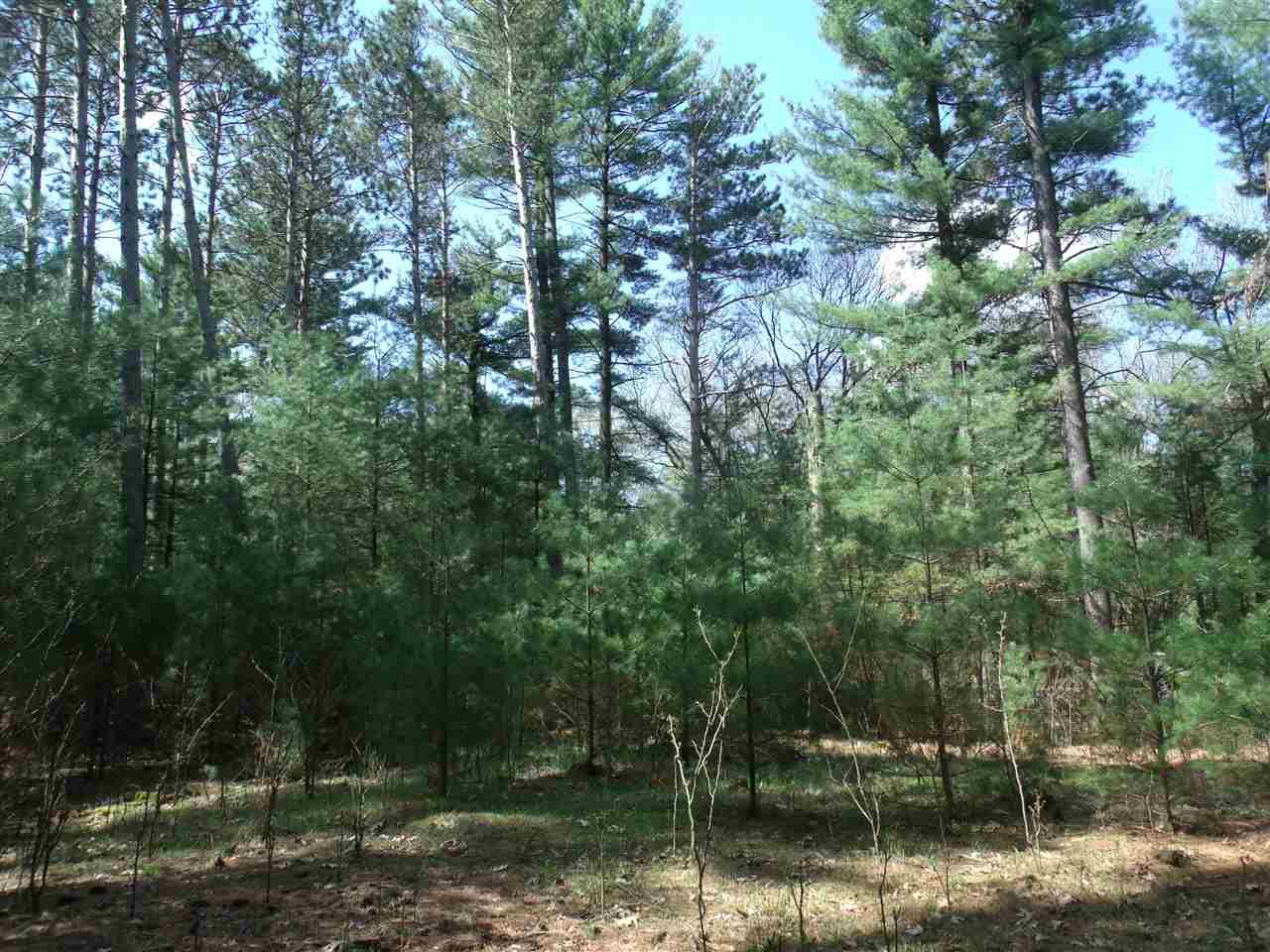 L19 & L20 3rd Ave - Photo 1