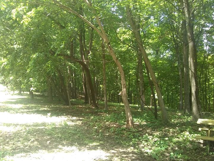 6.26 Acres Desoto Ridge Rd - Photo 1
