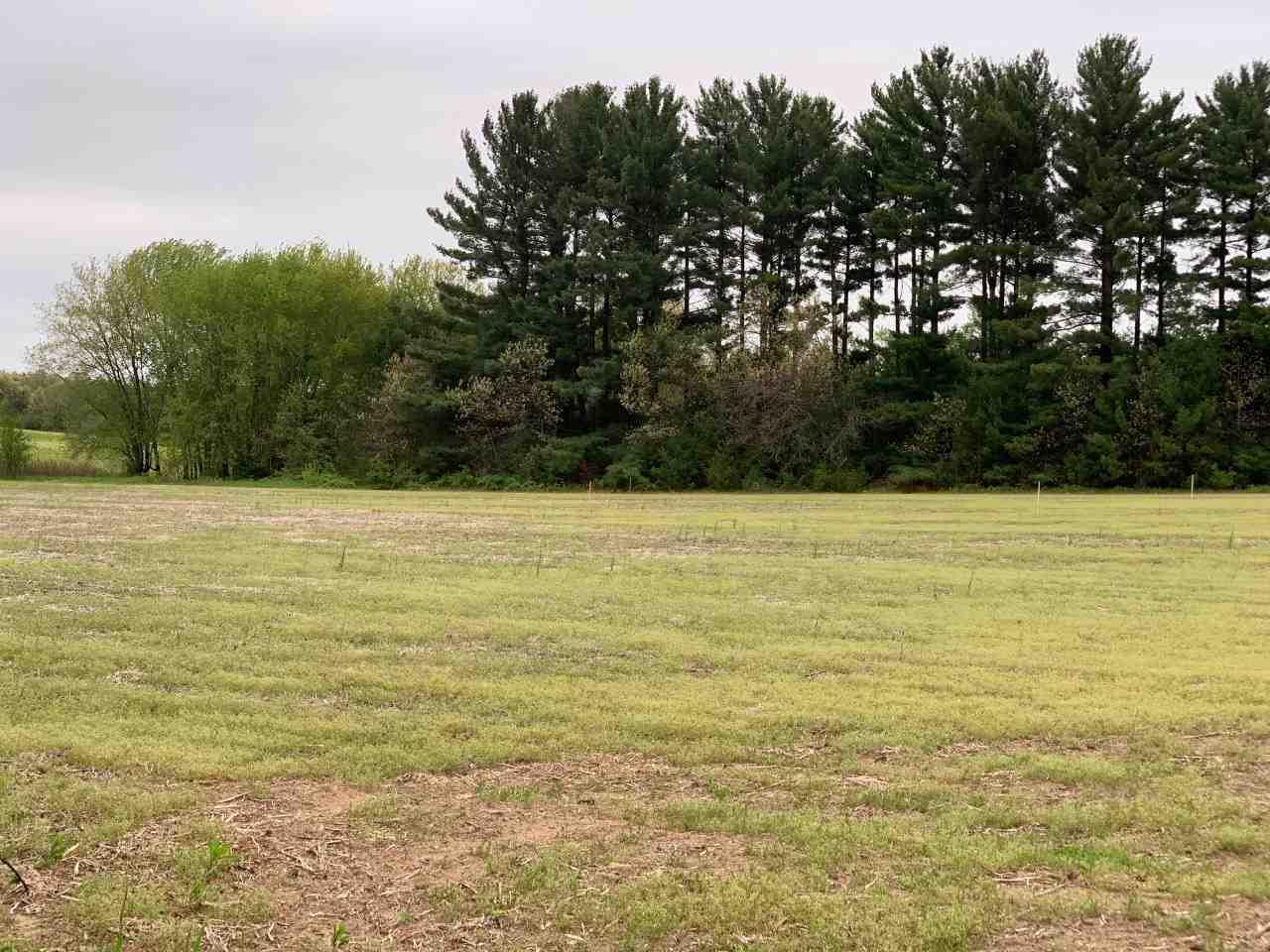 E9177 Reedsburg Rd - Photo 1