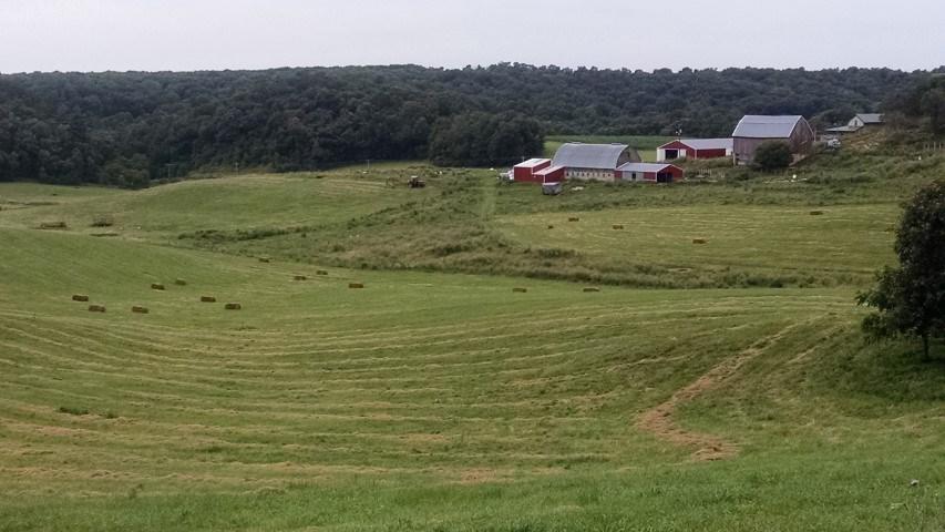 15082 Homer Rd - Photo 1