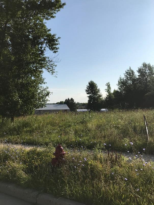 63 Stoney Ridge Rd - Photo 1