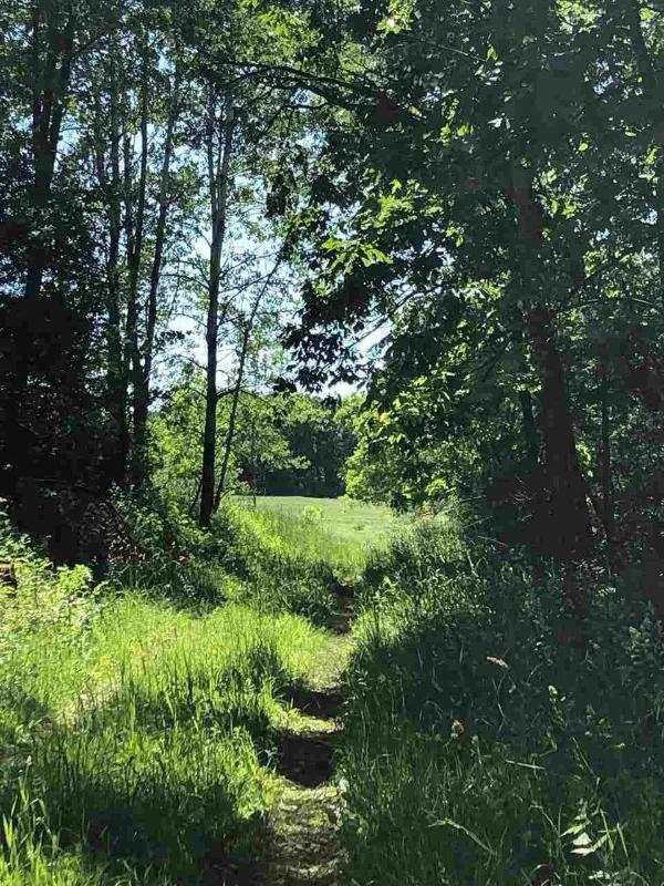 168 ac County Road K - Photo 1