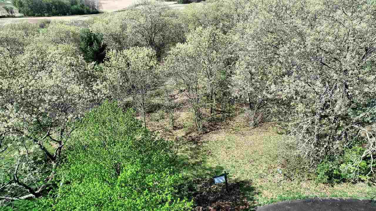 S1291 Lost Oaks Ct - Photo 1 S1291 Lost Oaks Ct - Photo 1
