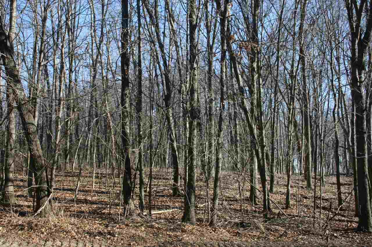 L11 Lucille Ln - Photo 1