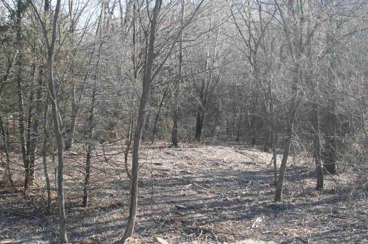 L13 Lucille Ln - Photo 1