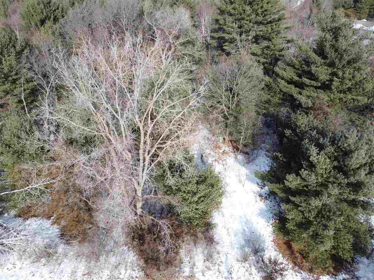 L58 Fur Dr - Photo 1