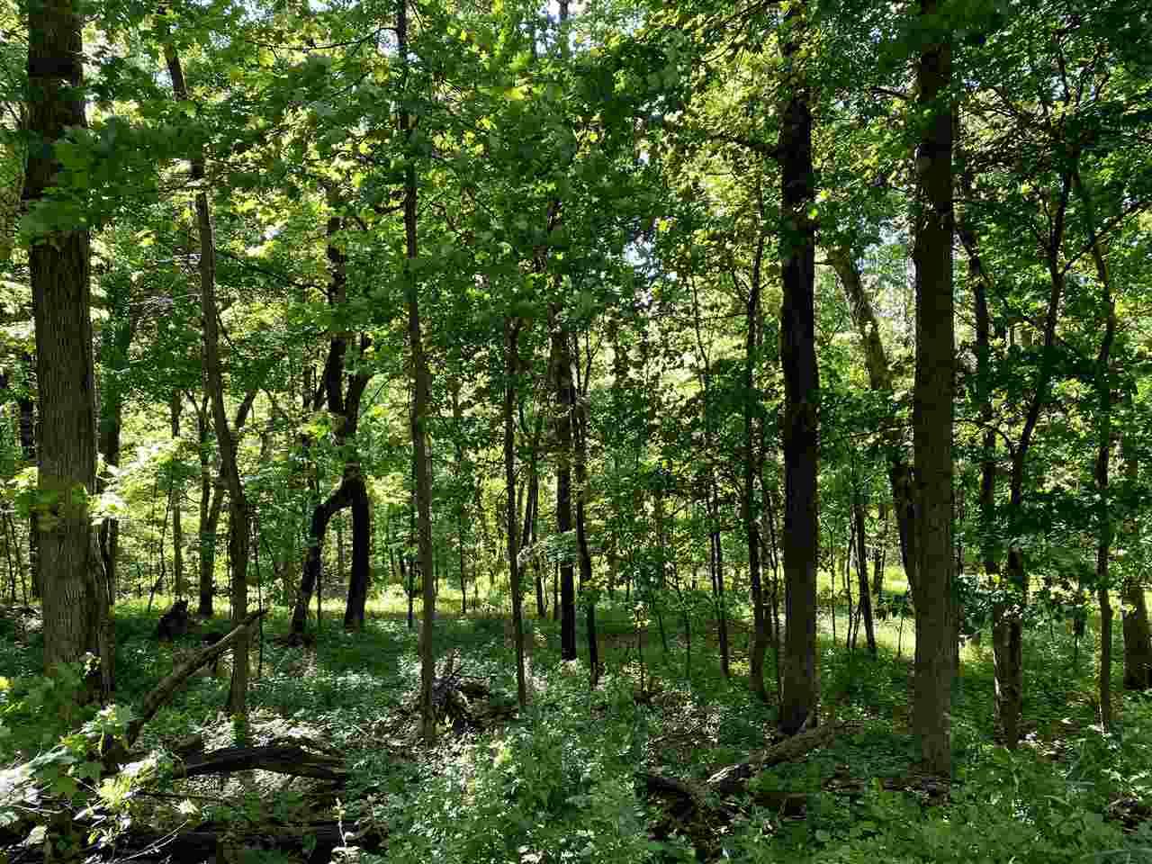 L29 Breezy Pointe - Photo 1