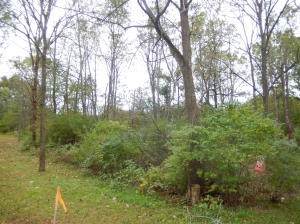 L16-19 Cedar Rd - Photo 1